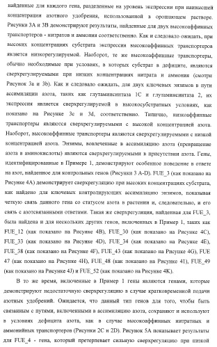 Изолированные полипептиды, кодирующие их полинуклеотиды, экспрессирующие их трансгенные растения и способы их использования (патент 2425151)
