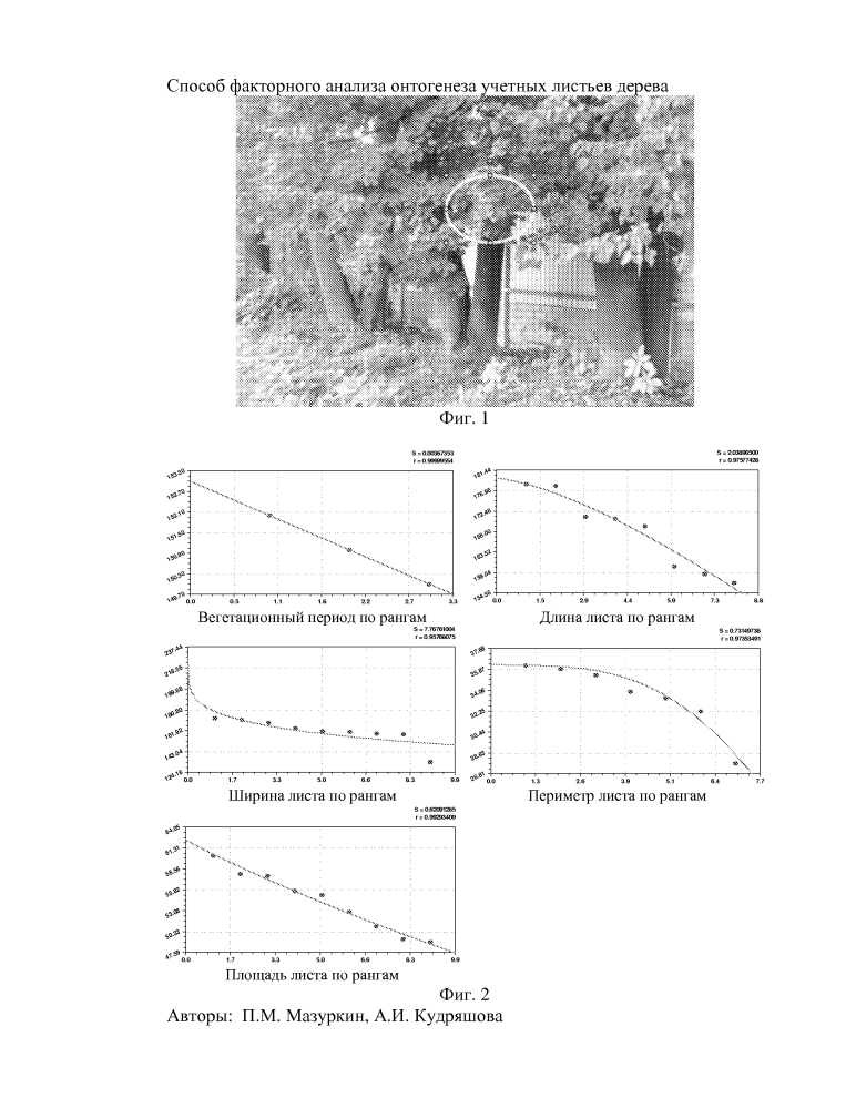 Способ факторного анализа онтогенеза учетных листьев дерева (патент 2606189)