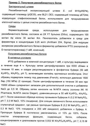 Иммуногенная композиция (патент 2402347)