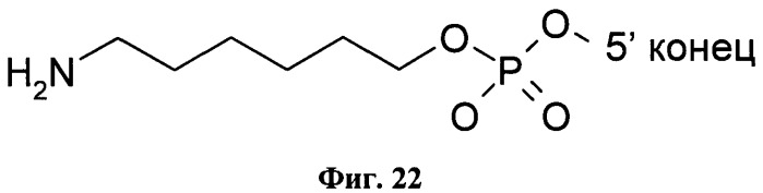 Новые структуры малых интерферирующих рнк (sirna) (патент 2487716)