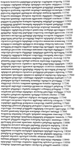 Модуляция экспрессии гентингтина (патент 2562861)
