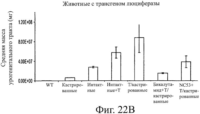 Диарилтиогидантоиновые соединения (патент 2449993)