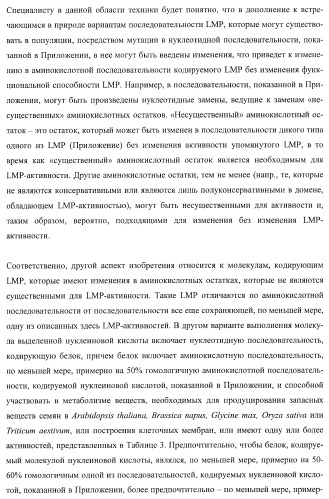 Молекулы нуклеиновых кислот, кодирующие wrinkled1-подобные полипептиды, и способы их применения в растениях (патент 2385347)