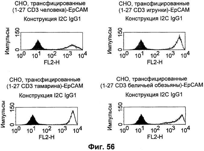 Cd3-эпсилон-связывающий домен с межвидовой специфичностью (патент 2561457)