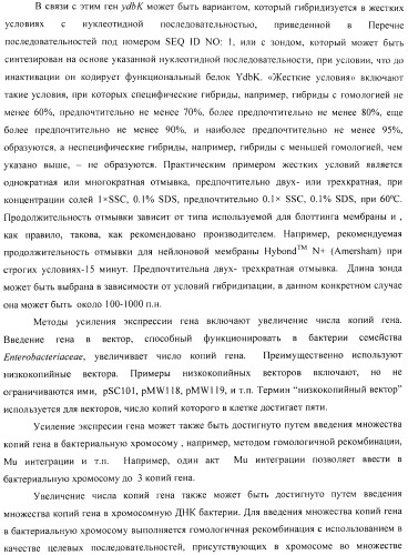 Способ получения l-аминокислоты с использованием бактерии, принадлежащей к роду escherichia (патент 2395579)