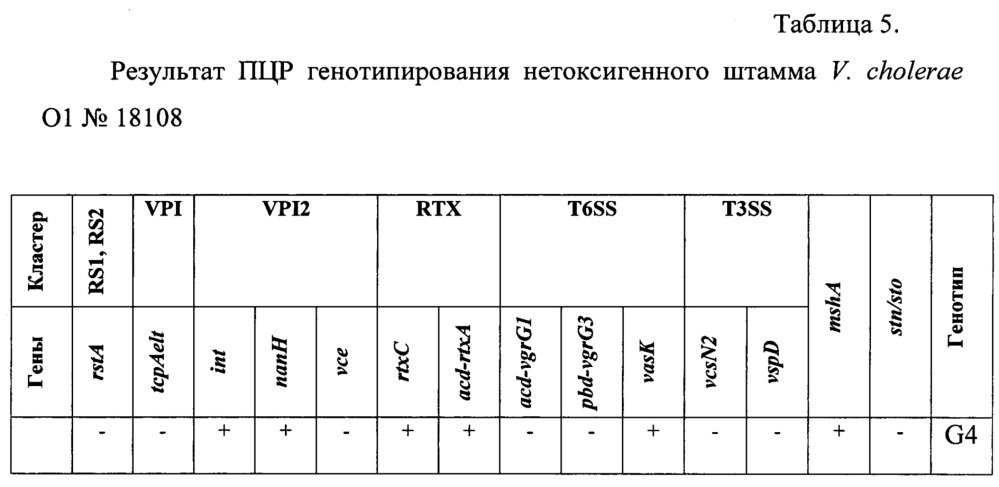 Способ идентификации нетоксигенных штаммов холерных вибрионов о1 серогруппы с помощью пцр для выделения генетических детерминант (патент 2665542)