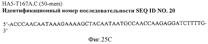 Иммуногенный эпитоп вируса гриппа (патент 2546872)