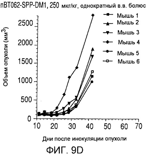 Иммуноконъюгаты, направленные на cd138, и их применение (патент 2547939)