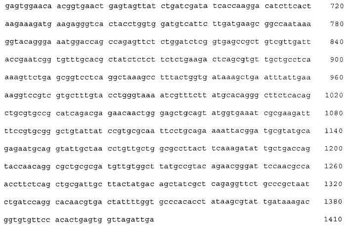 Бактерия, принадлежащая к роду pantoea, - продуцент l-аспартата или метаболита, являющегося производным l-аспартата, и способ получения l-аспартата или метаболита, являющегося производным l-аспартата (патент 2411289)