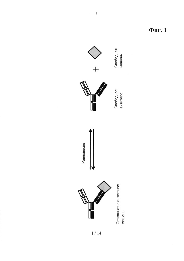 Способ детекции партнера по связыванию мультиспецифического связывающего агента (патент 2620563)