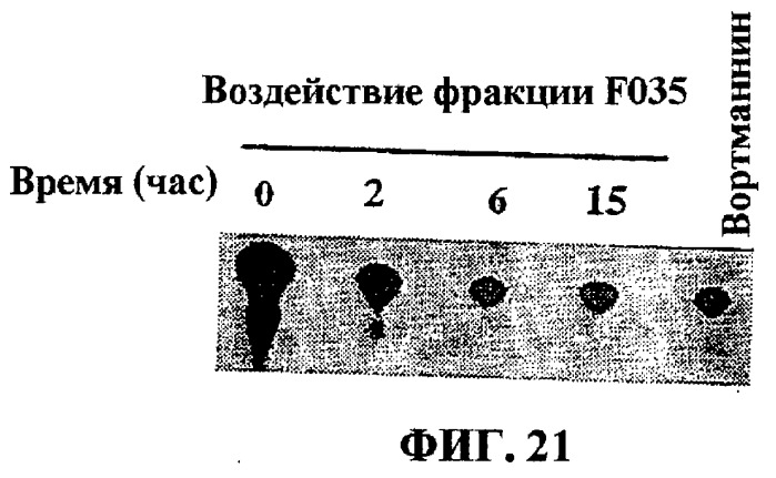 Тритерпеновые композиции и способы их применения (патент 2244547)