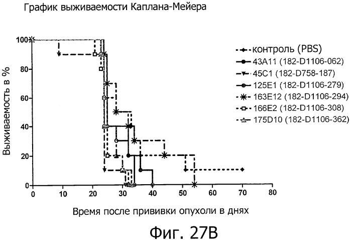 Моноклональные антитела против клаудина-18 для лечения рака (патент 2571923)