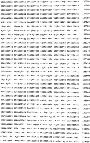 Бактериофаг, обладающий активностью против pseudomonas aeruginosa, белки бактериофага и способы их применения (патент 2580248)