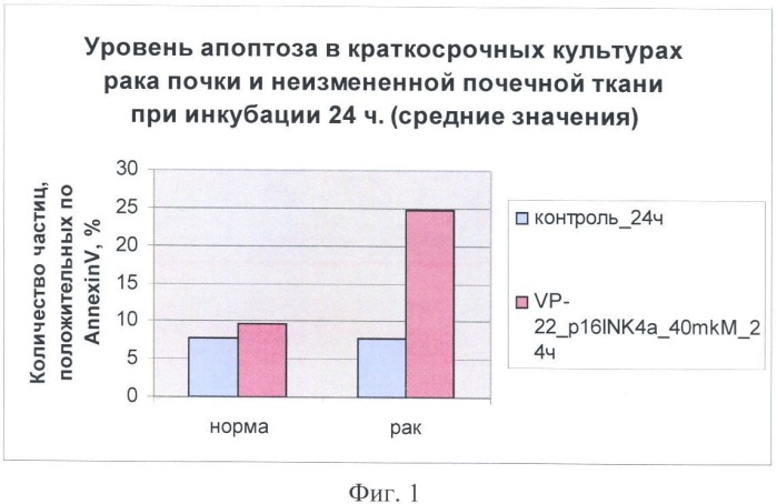 Химерный пептид для лечения эпителиальных и мезенхимальных злокачественных новообразований (патент 2369402)