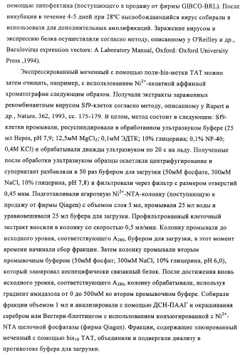 Композиции и способы диагностики и лечения опухоли (патент 2430112)