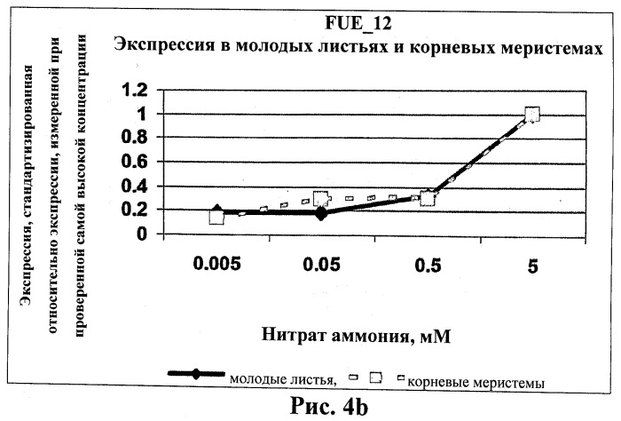 Изолированные полипептиды, кодирующие их полинуклеотиды, экспрессирующие их трансгенные растения и способы их использования (патент 2487166)