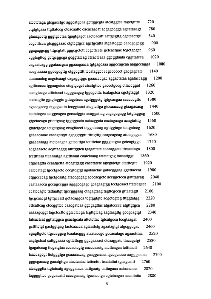 Способ молекулярной диагностики митохондриальных патологий на основе технологии пиросеквенирования (патент 2633752)