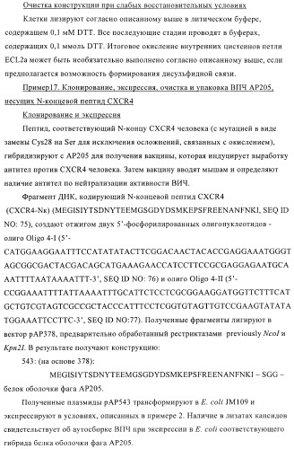 Вирусоподобные частицы, включающие гибридный белок белка оболочки бактериофага ар205 и антигенного полипептида (патент 2409667)