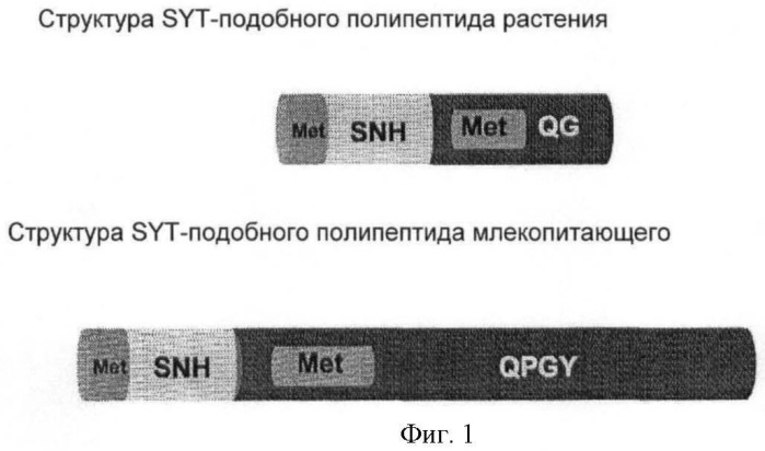 Растения, характеризующиеся повышенной урожайностью, и способ их получения (патент 2463351)