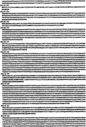 Иммунизация против chlamydia trachomatis (патент 2331435)