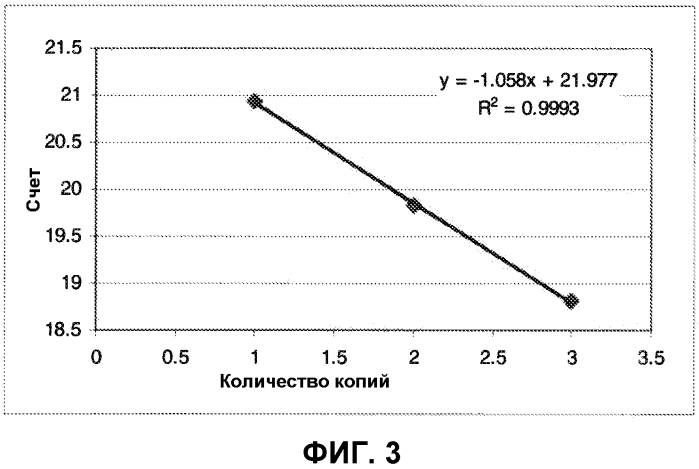 Способ амплифицирования локусов в бактериальной клетке (патент 2577985)