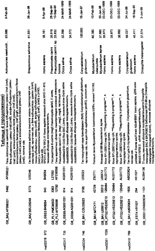 Гены corynebacterium glutamicum, кодирующие белки, участвующие в гомеостазе и адаптации (патент 2304616)