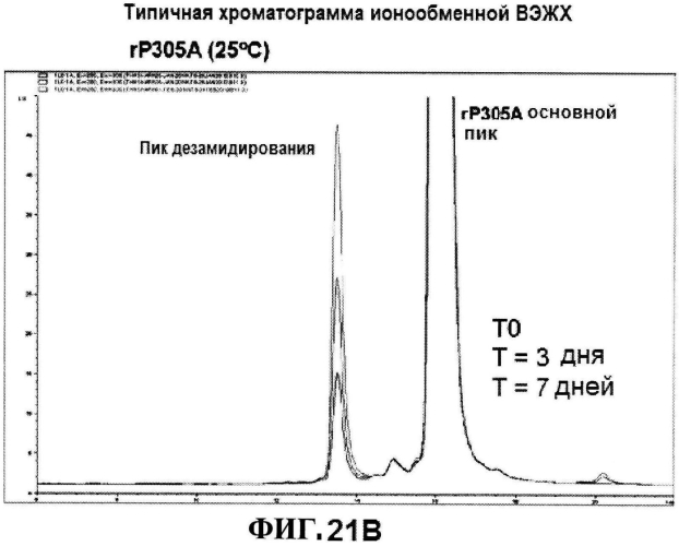 Стабильные иммуногенные композиции антигенов staphylococcus aureus (патент 2570730)