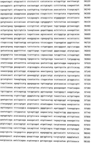 Бактериофаг, обладающий активностью против pseudomonas aeruginosa, белки бактериофага и способы их применения (патент 2580248)