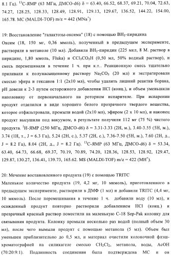 Твердофазное тегирование олигосахаридов: методика для манипуляции с иммобилизированными углеводами (патент 2398237)