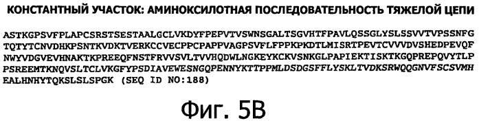 Белки, связывающие антиген фактор роста, подобный гепаринсвязывающему эпидермальному фактору роста (патент 2504551)