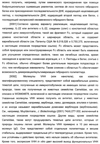 Антитела к il-22 человека и их применение (патент 2467016)