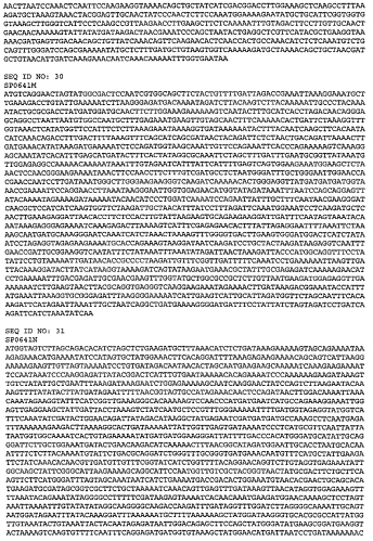 Вакцины и композиции, направленные против streptococcus pneumoniae (патент 2580299)