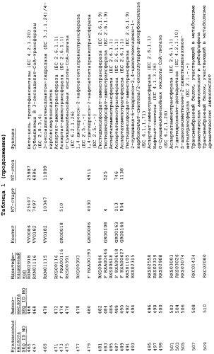 Гены corynebacterium glutamicum, кодирующие белки метаболических путей (патент 2306339)