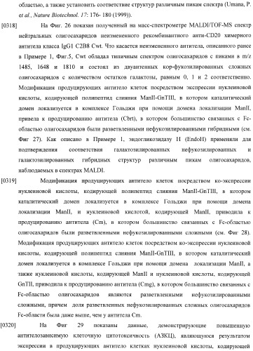 Конструкции слияния и их применение для получения антител с повышенными аффинностью связывания fc-рецептора и эффекторной функцией (патент 2407796)