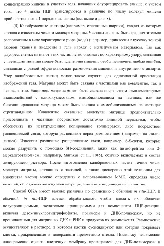 Бесконтактные способы обнаружения молекулярных колоний, наборы реагентов и устройство для их осуществления (патент 2394915)