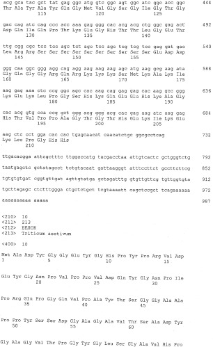 Новые аллергены пшеницы (патент 2502742)