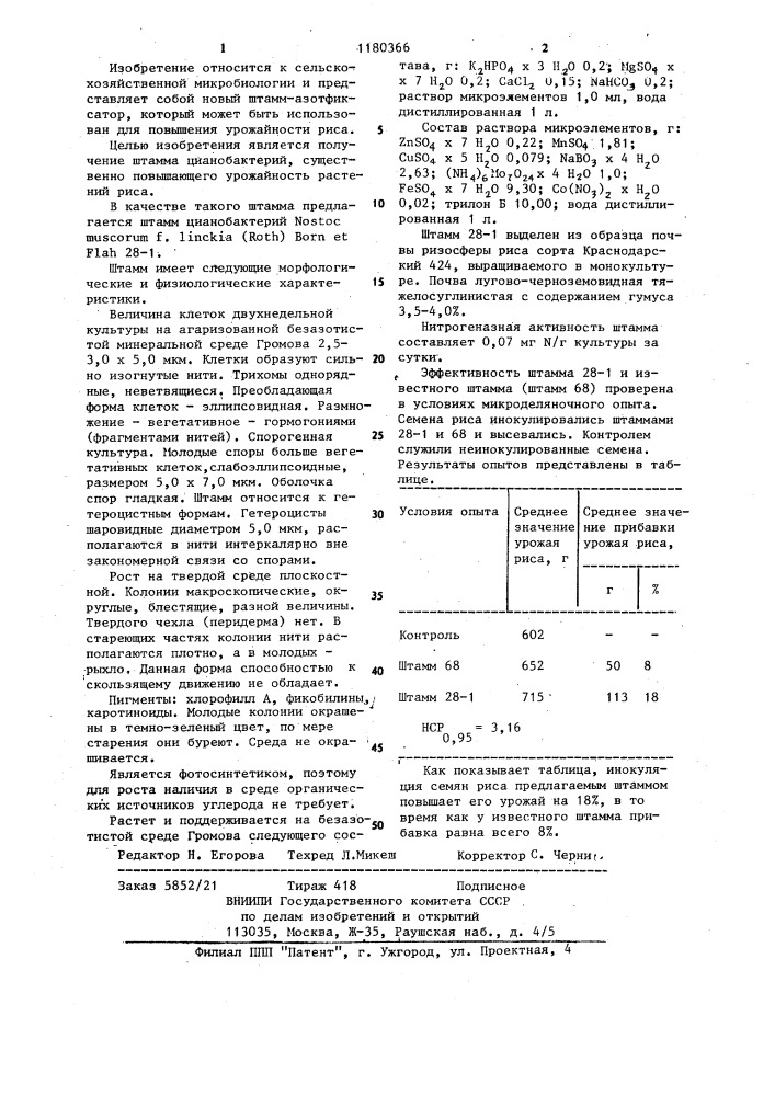 Штамм цианобактерий @ @ @ ( @ ) @ @ @ 28-1 n 106 -активный несимбиотический азотфиксатор (патент 1180366)