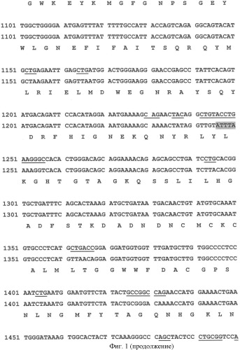 Ген agрopt ангиопоэтина-1 (патент 2385938)