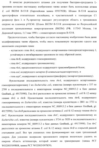 Способ получения l-треонина или l-аргинина с использованием бактерии, принадлежащей к роду escherichia, в которой инактивирован ген chac или оперон chabc (патент 2392327)