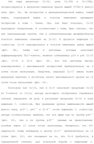 Применение противомикробного полипептида для лечения микробных нарушений (патент 2503460)