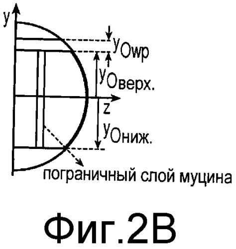 Контактные линзы со стабилизационными свойствами (патент 2563554)