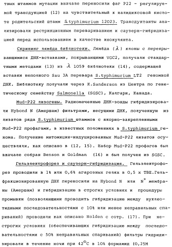 Vgc2 днк salmonella typhimurium, мутантная бактерия, обладающая пониженной способностью к адаптации к условиям окружающей среды, и способ ее получения (патент 2370541)