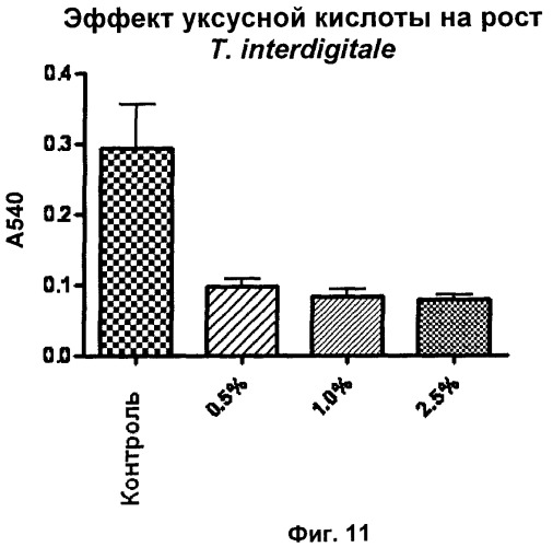 Противомикробные пептиды, содержащие аргинин- и лизинсодержащий мотив (патент 2396273)