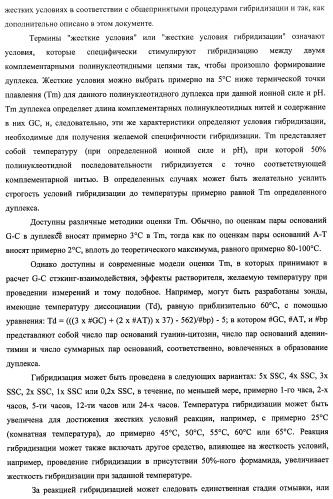 Гены и белки brachyspira hyodysenteriae и их применение (патент 2440369)