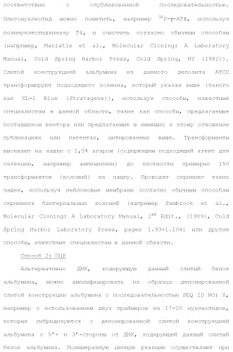 Слитые белки альбумина (патент 2369404)
