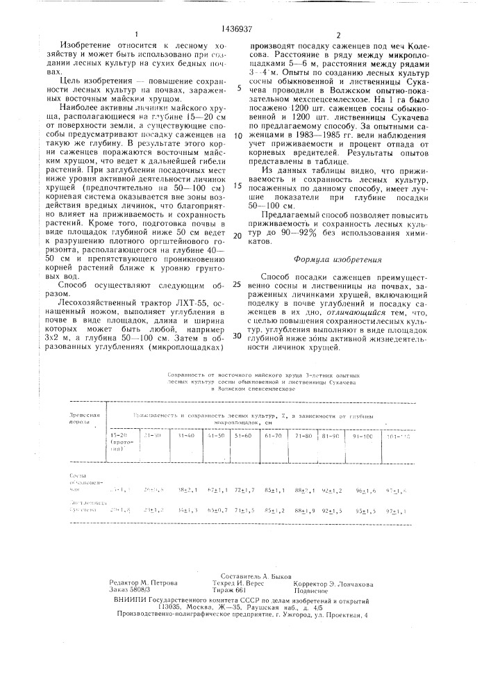 Способ посадки саженцев преимущественно сосны и лиственницы на почвах,зараженных личинками хрущей (патент 1436937)