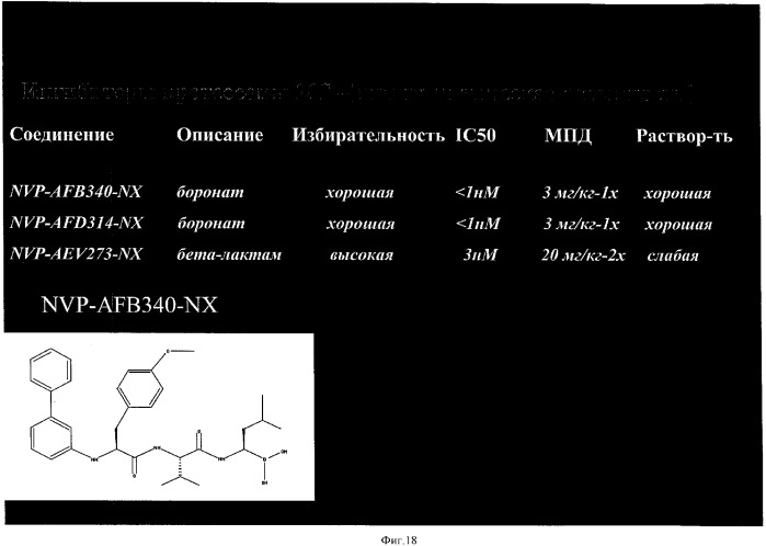 Способы и композиции для индукции апоптоза раковых клеток (патент 2379056)