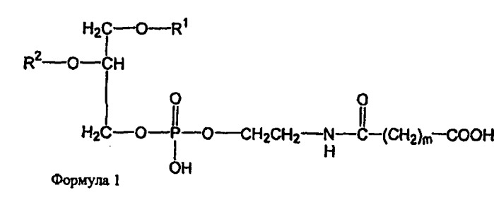 Новые композиции липосом (патент 2454229)
