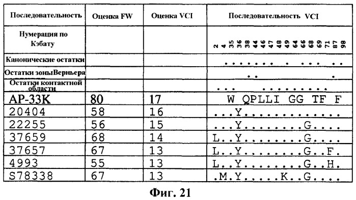 Антитела против вируса гепатита с (патент 2462475)
