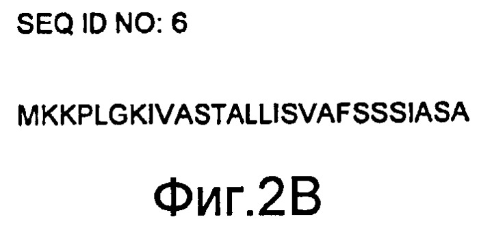 Мoдифицированные протеазы (патент 2496875)